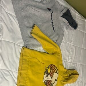 Champion Gray Pullover Hoodie and Yellow Graphic Kids Hoodies